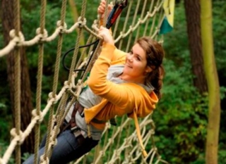  Aventura en el bosque en el 12 